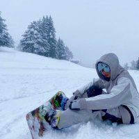 のら(ぺぇさん) (@nora_pee_) 's Twitter Profile