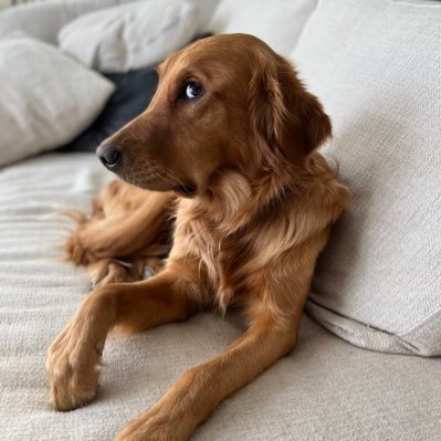 IngerGartner's profile picture. 