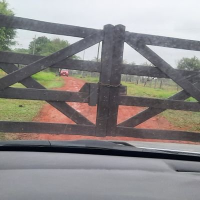 Rooo66280821's profile picture. 