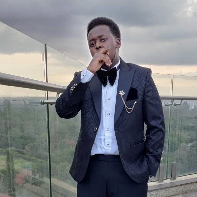 Ed_Zizi's profile picture. Co-Founder and Lead Animator @dungbeetle_stu