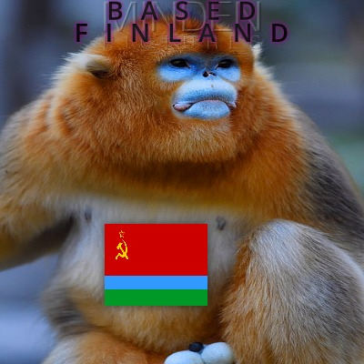 SuomiSimp's profile picture. Aka BASED FINLAND