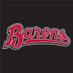 Birmingham Barons (@bhambarons) Twitter profile photo Birmingham Barons (@bhambarons) Twitter profile photo