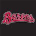 Birmingham Barons (@BhamBarons) Twitter profile photo