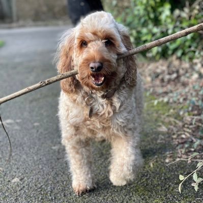 HunkinCarla's profile picture. 