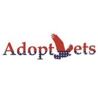 adoptvets(@adoptvets) 's Twitter Profile Photo