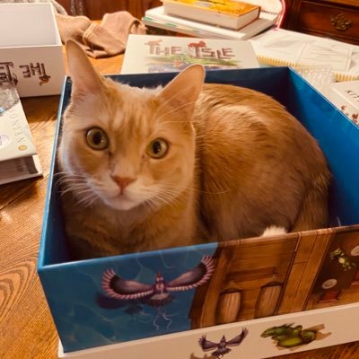 gingermeeple's profile picture. Writer of stories, Player of board games, Reader of books, Keeper of Raptors, Loyal Human to Princess Kitties, Grower of Plants, and Dreamer of Mars.