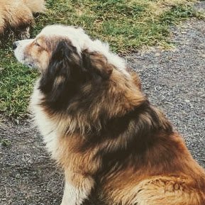 yulya_zw's profile picture. жизнь без терапии