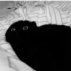 pwn_in's profile picture. Down the rabbithole of my accounts:
https://t.co/gcMntu1sdG 
https://t.co/ZZYQpf6O7x 
 https://t.co/GGEVEGxlB1 
https://t.co/Fx6kLppxJ2