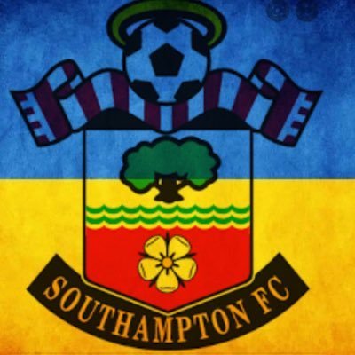 Passion for scuba diving and Southampton FC. Quite like a decent pint of bitter.