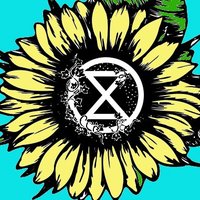 XR_Cymru(@xr_cymru) 's Twitter Profile Photo