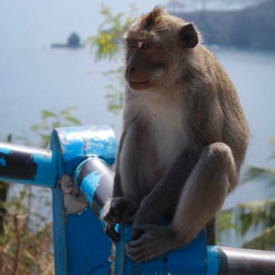AurelienKrier's profile picture. 