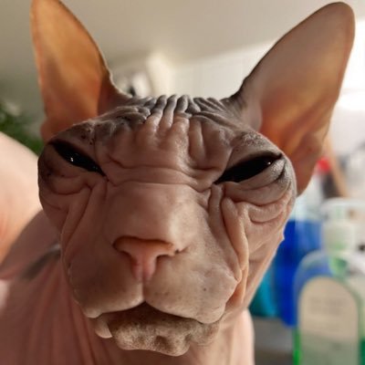 Michael46128419's profile picture. 