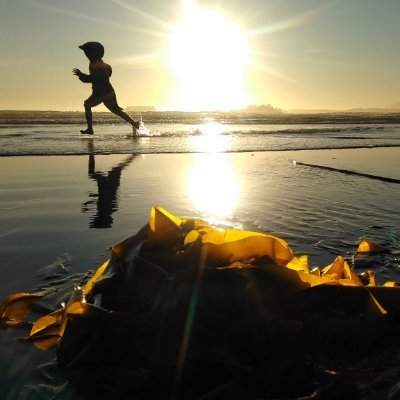 karlwoll's profile picture. Dad of 3 | Sports fanatic