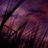 mespi27's profile image