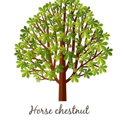 Team Horse Chestnut