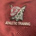 Phillipsburg Athletic Training (@Stateliners_ATC) Twitter profile photo