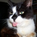 Jane Ripley - @JaneRipley1 - Twitter