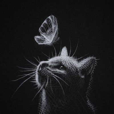 AmieJoof3's profile picture. uni student🇬🇲, delusional🤍