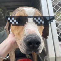 Zak (@zakfastback) 's Twitter Profile