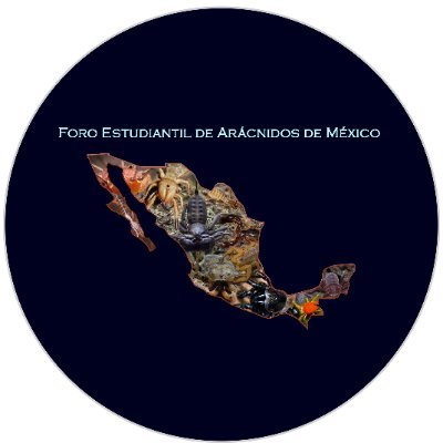 Nos definimos como un grupo autónomo e independiente dedicado a la VINCULACIÓN y ASESORÍA de estudiantes y profesionales que trabajan con Arácnidos en México.