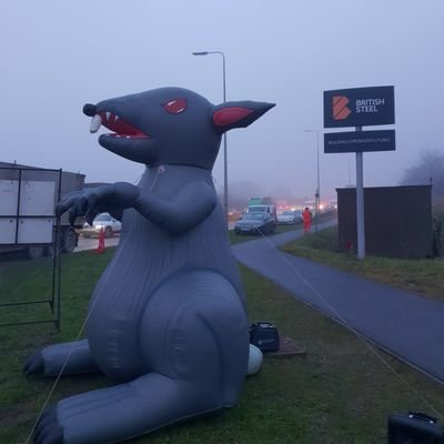 tequilarino's profile picture. No, my dearest. You are alive, and as beautiful as the moon 🇵🇸
https://t.co/H5Xi5iCR05