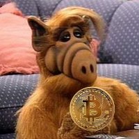 Alf Coinero 🫡🍊 (@alf_coinero) 's Twitter Profile Photo Alf Coinero 🫡🍊 (@alf_coinero) 's Twitter Profile Photo