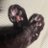 猫野みけのアイコン