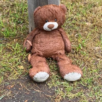 musingmemory's profile picture. .