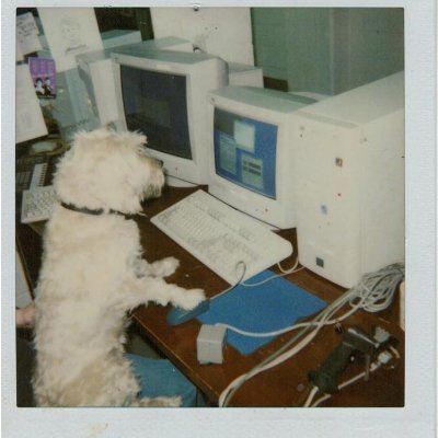 poliopsSPAFY's profile picture. Political Operatives of Spadina Fort York.
Improve the Elections Act, fairness for constituents, byelection in Spadina Fort York. 
Also, Raptors.