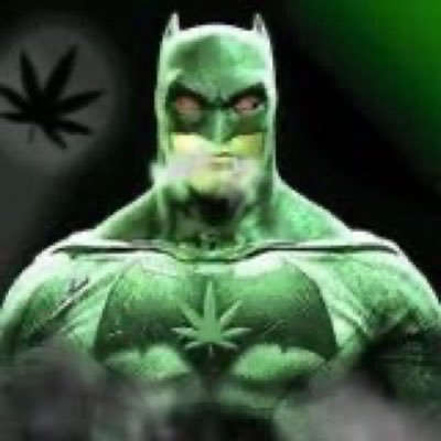 qife's profile picture. 