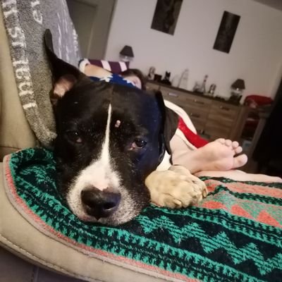 vapoteusered11's profile picture. 