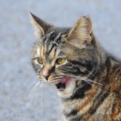 UvRAE6hC9IGqjWJ's profile picture. 