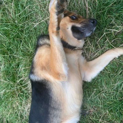 FabianOjeda_B's profile picture. Hincha de bT_Tlla, dibujo 🔴🔵🇨🇱🤘⚽️✍