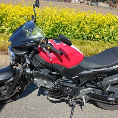 SV80751861's profile picture. 早期定年退職してバイクを楽しんでいます。