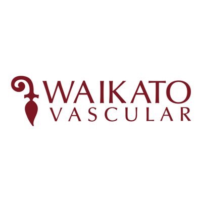 Vascular & Endovascular Surgery Waikato Hospital New Zealand