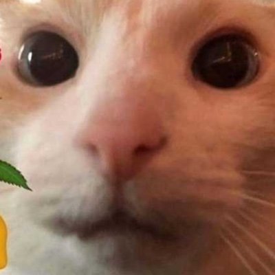 Gorgさんのプロフィール画像