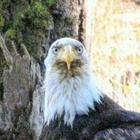 Climate Watcher ๐ฅ (@pmagn) 's Twitter Profile