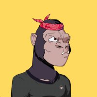 DΞΞMA || $FAME (@jpegslanger) 's Twitter Profile