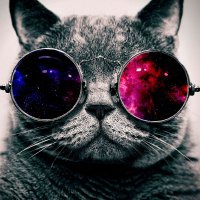 Dani Alk (@danialk3) 's Twitter Profile Photo