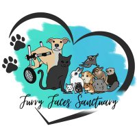 Furry Faces Sanctuary(@FurryFSanctuary) 's Twitter Profile Photo