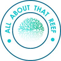 All about that Reef (@allabtthatreef) 's Twitter Profile