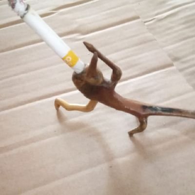 IndrawanSultan's profile picture. Yang penting hapyy