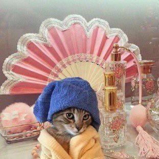 rabeckah_atoms's profile picture. gaslight gatekeep girlboss