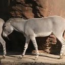 Devin Morrison - @MorrisonDevin - Twitter