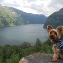 Joe Crisafulli - @JoeyJewtts - Twitter