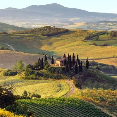 DorigoNatalie's profile picture. Twittert op persoonlijke titel #OnverdeeldOpen