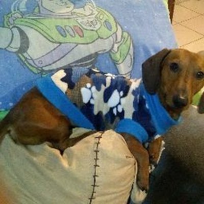 TristanJessTor1's profile picture. 