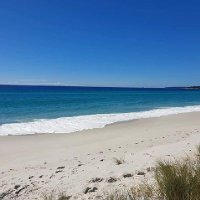 TasLander 🇦🇺 (@debhoff33199062) 's Twitter Profile