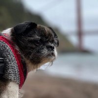 Troy Nakamura (@coachnaks1) 's Twitter Profile