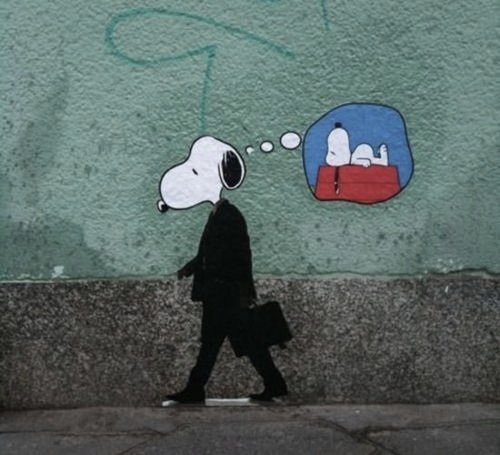 yicao924's profile picture. 